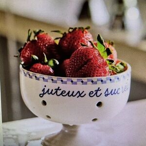 ❤️ ANTHROPOLOGIE VIOLETTE HANDPAINTED STONEWARE BLUE BERRY BASKET NEW